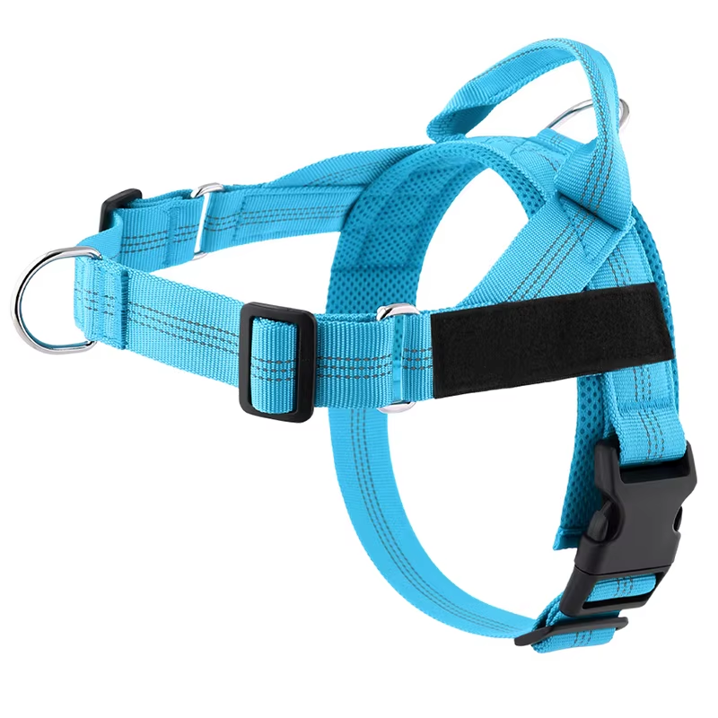 Personalised Dog Harness