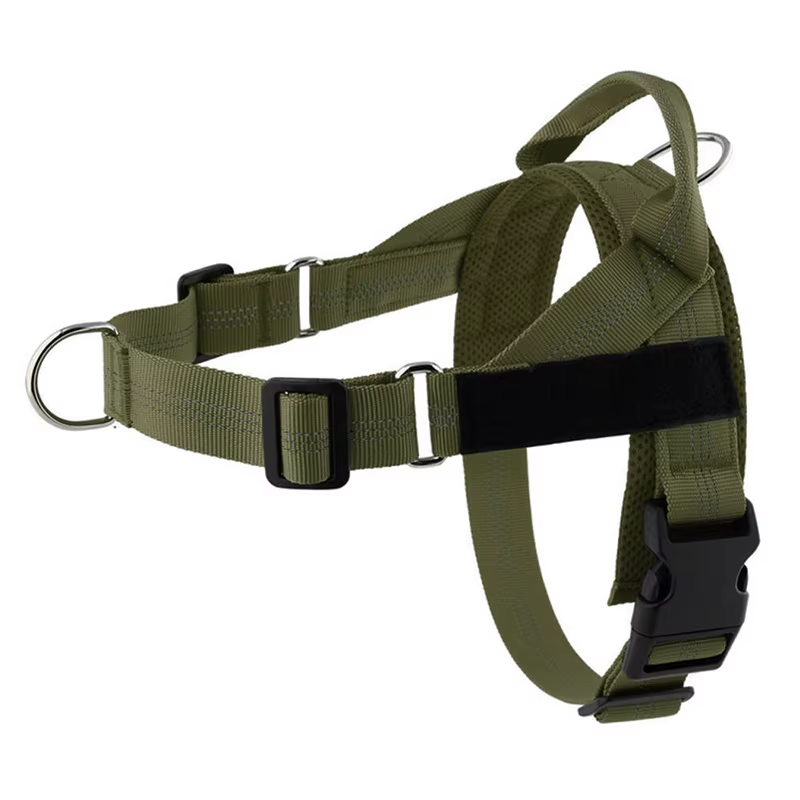 Personalised Dog Harness