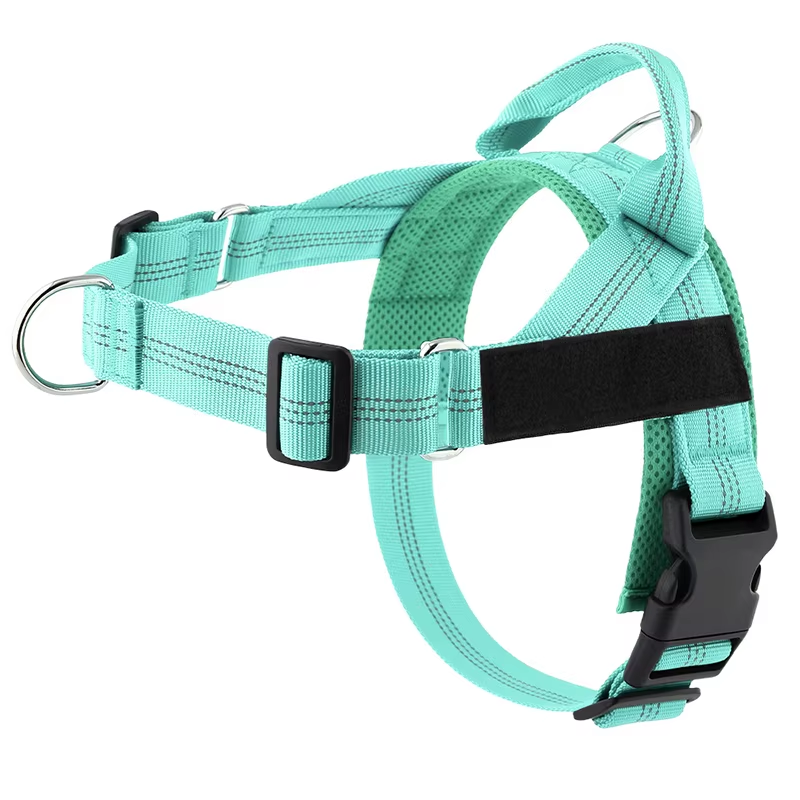 Personalised Dog Harness