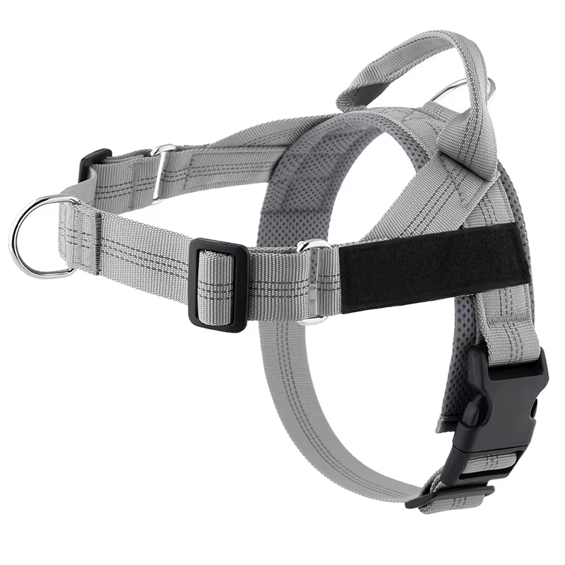 Personalised Dog Harness