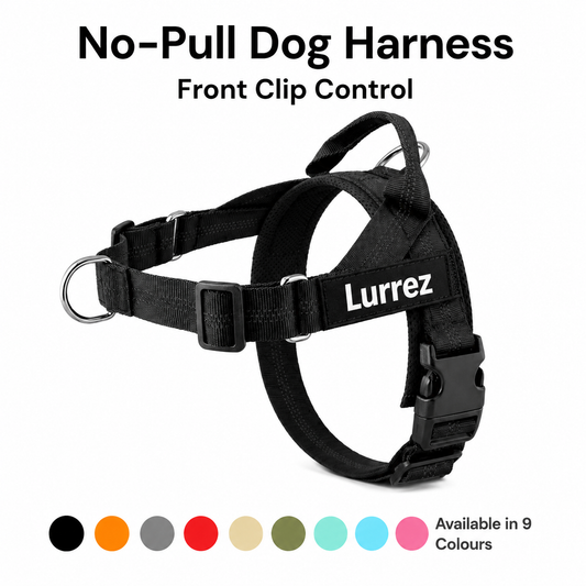 No Pull Dog Harness