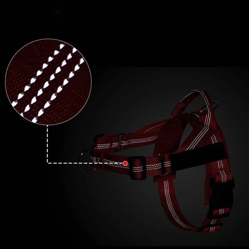 Personalised Dog Harness