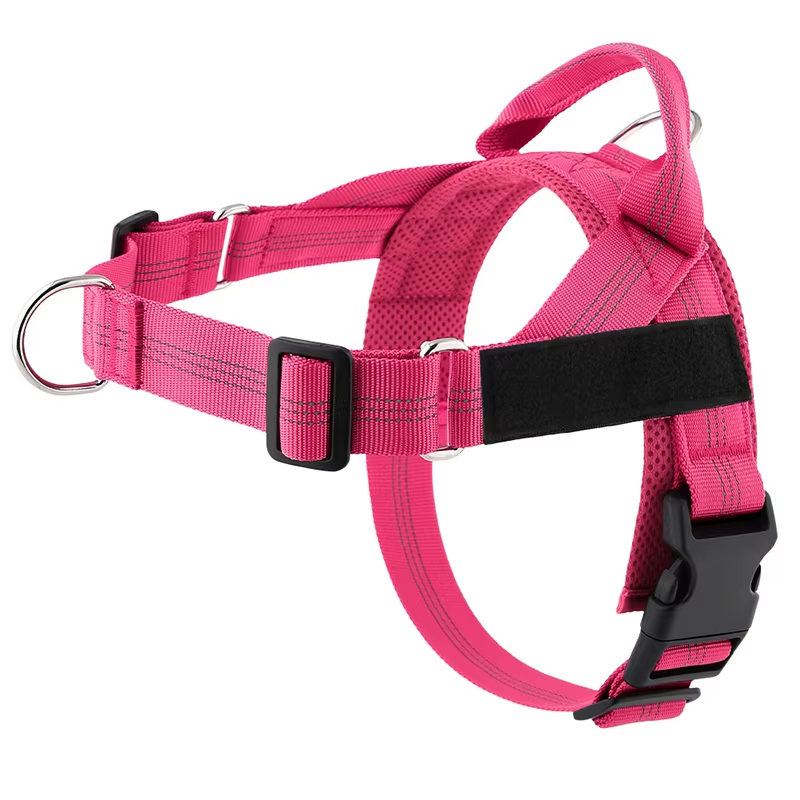 Personalised Dog Harness