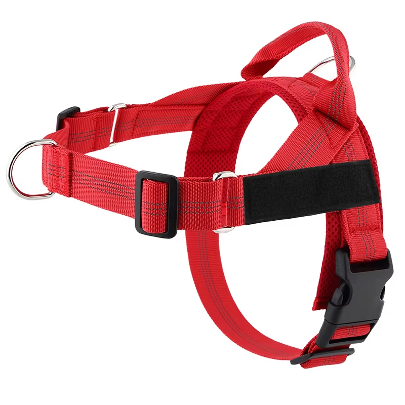 Personalised Dog Harness
